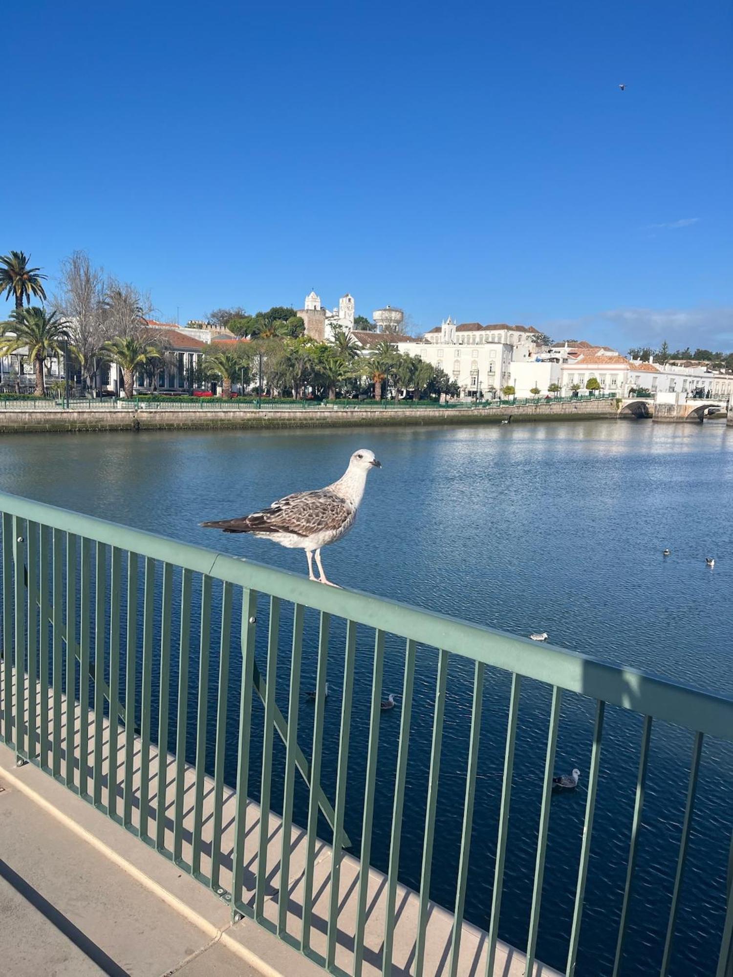 Stylish Townhouse With Gallery In The Heart Of Tavira For Two Exterior foto